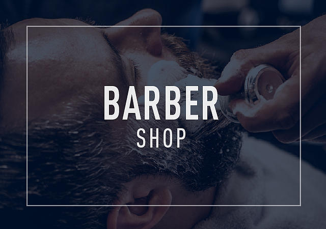 Wahl Professional Cordless Detailer Li Trimmer - My Salon Express Barber  and Salon Supply